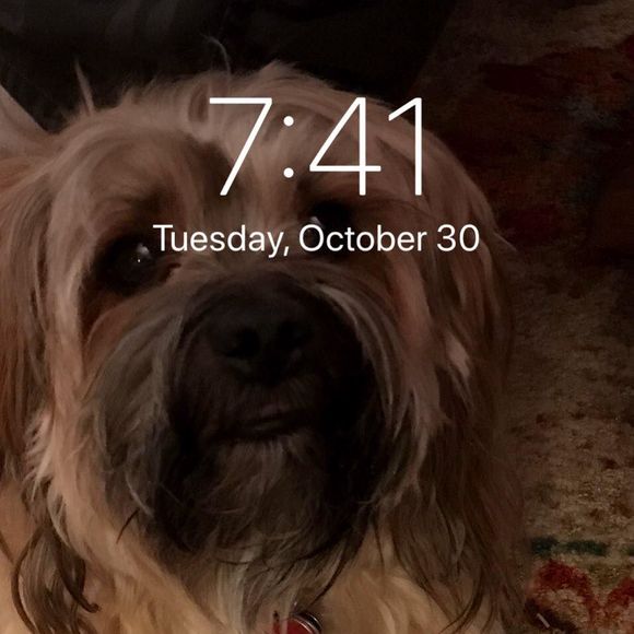 Meet your Posher, Jody - Picture 1 of 1